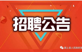 社会招聘官网,全方位解析职场新机遇