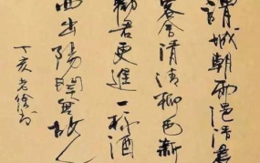 徐静蕾字体,徐静蕾书法艺术的传承与创新