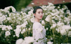 刘诗诗娱乐圈吃瓜视频,星光背后的真实生活与情感历程