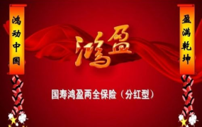 国寿鸿寿年金保险,全方位养老保障与投资理财新选择