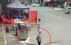 江西吉安县：多办法织密校园食物太平“防护网”，浙江涌现新物种！